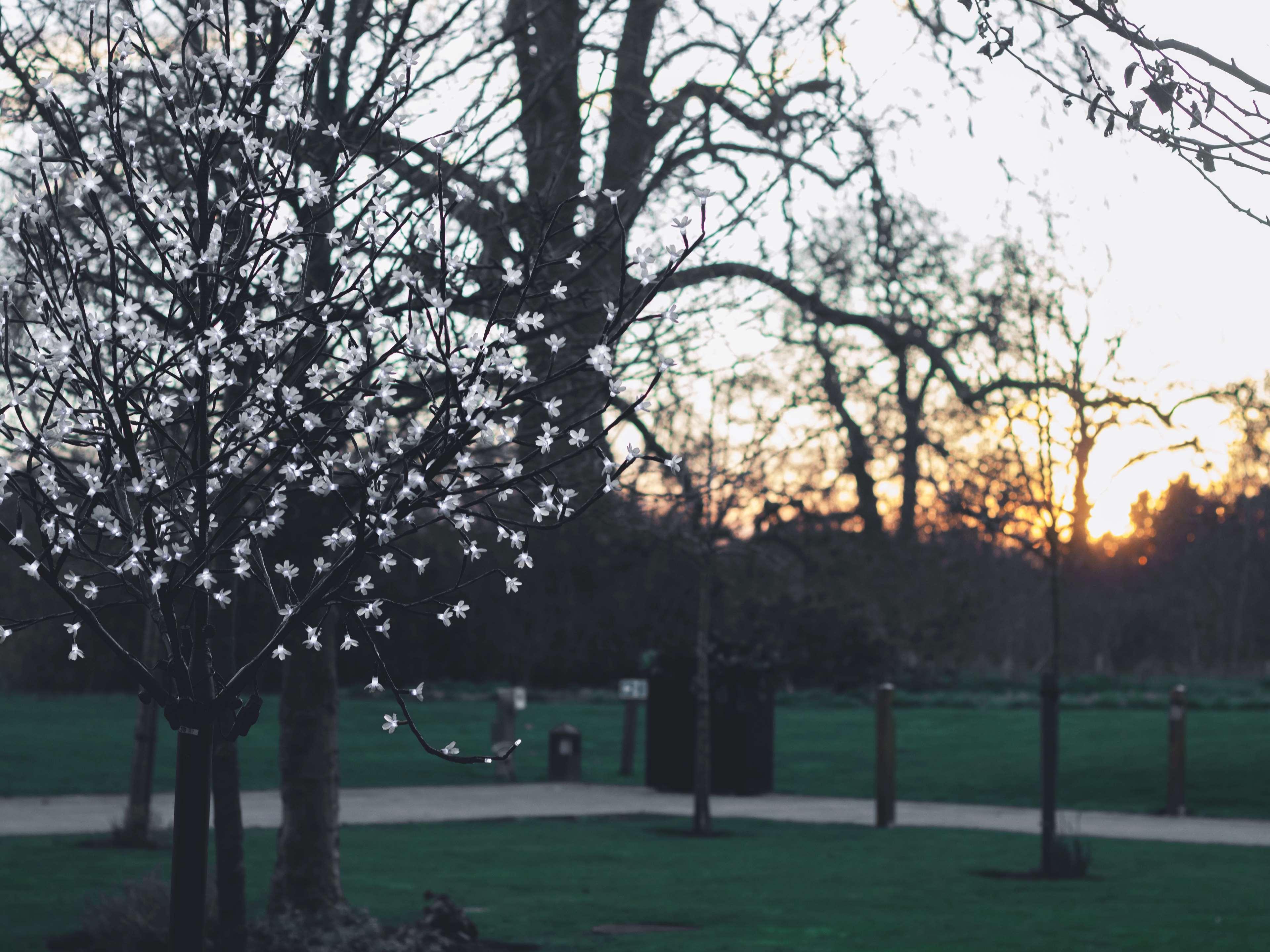 Hilton London Syon Park 4*